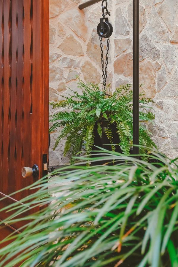 Hostal Can Gallu Cala Ratjada  Zewnętrze zdjęcie